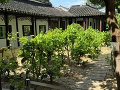 -苏州丝绸博物馆