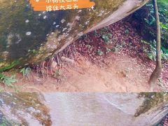 -火炉山森林公园