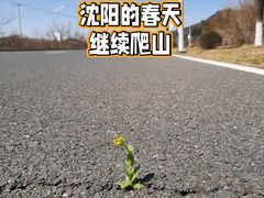 -沈阳辉山风景区