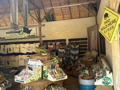 -大象粑粑造纸公园