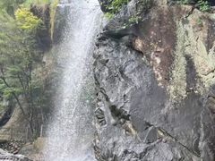 -百漈沟生态旅游景区