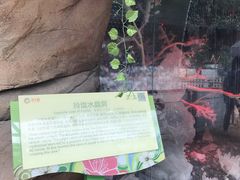 -花之城