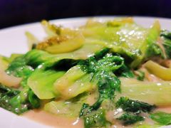 春色满园椒丝腐乳唐生菜-汤城小厨•粤菜•靓汤(苏州街店)