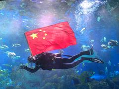 -芜湖新华联大白鲸海洋公园