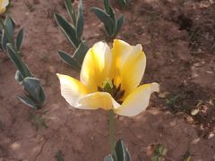 -葛记焖饼(伏牛路店)