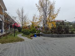 -九尺赵老四鲜鹅肠火锅