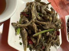 -品雅轩农家乐