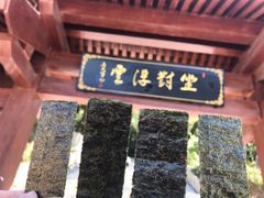 -少华山国家森林公园