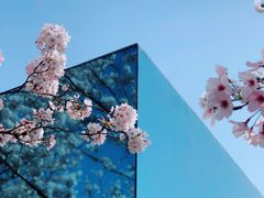 -龙美术馆(西岸馆)