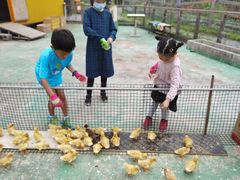 -前小桔亲子创意农场·草莓采摘·露营烧烤