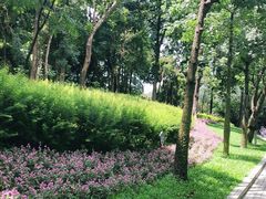 -云溪植物园