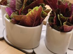 -一围肥牛小火锅(高铁吾悦店)