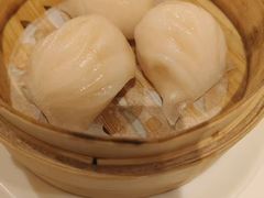 -粤珍轩.创始店.始于2001(含光门店)