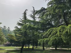 -石家庄市植物园