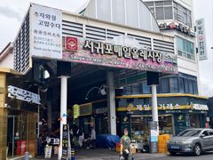 -西归浦每天偶来市场