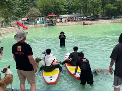 -宠乐会宠物乐园