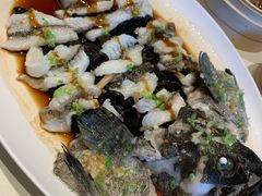 古法蒸老虎斑-利苑酒家(金宝店)