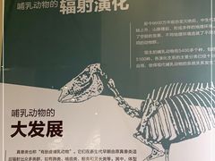 -国家自然博物馆