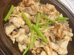 -谭厨中山传家菜.乳鸽.脆鲩鱼(华强北中航城店)