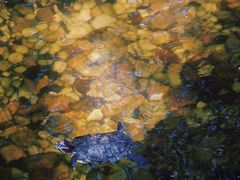 -宁波市保国寺古建筑博物馆