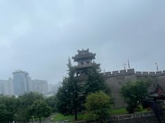-郑家包子牛肉拉面(尚勤路店)