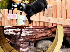 -正佳雨林生态植物园
