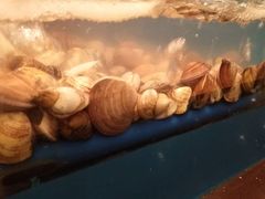 -火舞泰·泰式海鲜火锅餐厅(世纪城店)