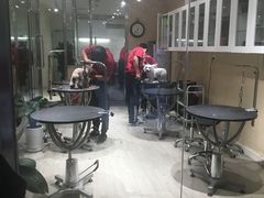 -宠物家(双井店)