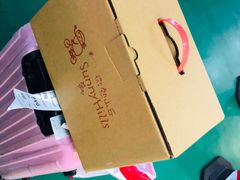 -微热山丘(桃园机场店)