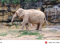 -广州长隆野生动物世界