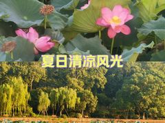 -北山街历史文化街区