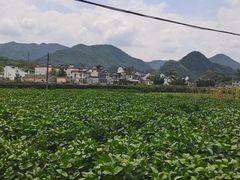 -绩溪龙川景区