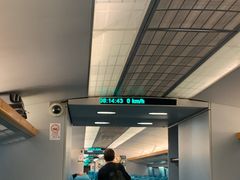 -龙阳路磁悬浮列车总站-停车场