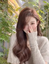 -IDOL-PLUS
