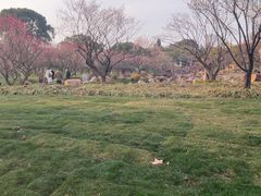 -无锡梅园公园