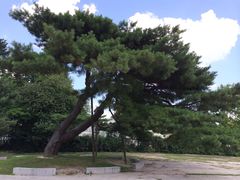-景福宫