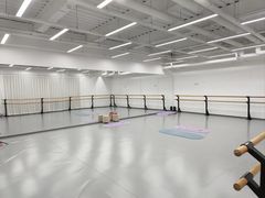 -中央芭蕾舞团·中芭艺蕾(酒仙桥明星校区)