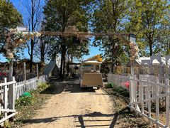 -安德鲁户外烧烤帐篷营地(马泉营店)