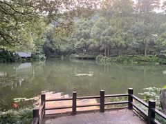 -杭州花家山庄