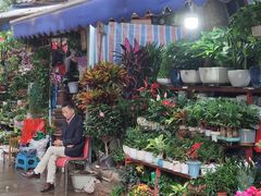 -青石桥花鸟鱼虫市场(叠翠城店)