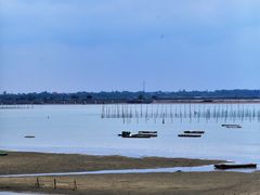 -北海金海湾红树林生态旅游区