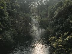 -西湖外事游船(花港观鱼码头)