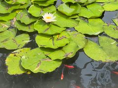 -皇城相府