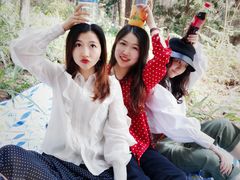 -铁山坪森林公园