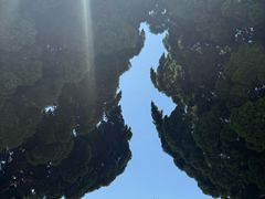 -小麦岛公园