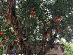 -三坊七巷历史文化街区