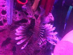 -沈阳海洋探索中心