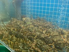 -白仁仔· 活烤海鲜 宵夜(豫园店)