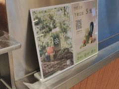 -奈雪的茶(青岛卓悦里INTOWN店)