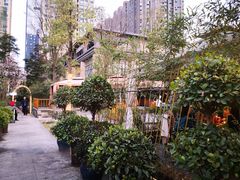 -二荆条·蜀鲜汇城市森林火锅